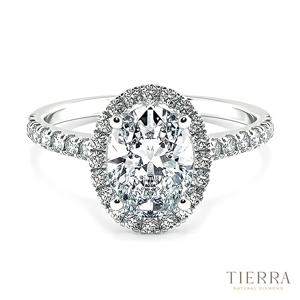 Nhẫn kim cương nữ Halo đai tấm NCH8501